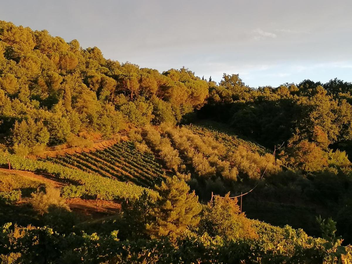Agriturismo Poggio All'Olmo Villa Греве ин Кианти Екстериор снимка